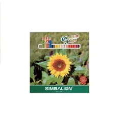 Coloring Pencils SIMBA  Small 12 boxes