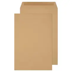 ظروف، ظروف مانيلا بني لاصق ، 120 غرام، (12x 10 انش)، 250 ظرف