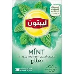 Lipton Herbal Infusion Tea Mint, 20 Teabags X16