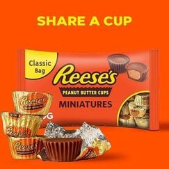 ريز ببي سي مينياتشورز مغلفة 24 × 340 جرام