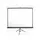Screen, COMIX, Projector Screen, Size: 180x 180 cm, with Stand