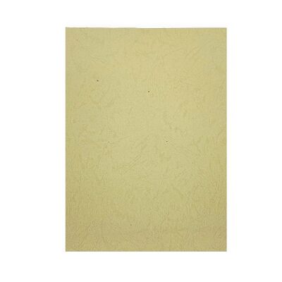Colored Paper SIMBA 210GSM Dark Beige Color A4 25 Papers