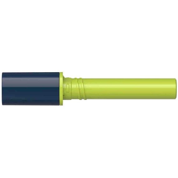 SCHNEIDER Paint-It 040 Cartridge Round tip Apple Green 2 pcs/box SCHNEIDER Paint-It 040 Cartridge Round tip Apple Green 2 pcs/box