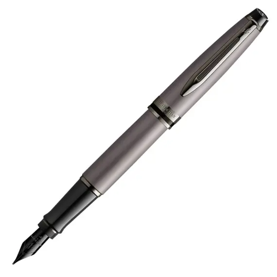 WATERMAN Expert Fountain Pen Metallic Silver Ruthenium Trim