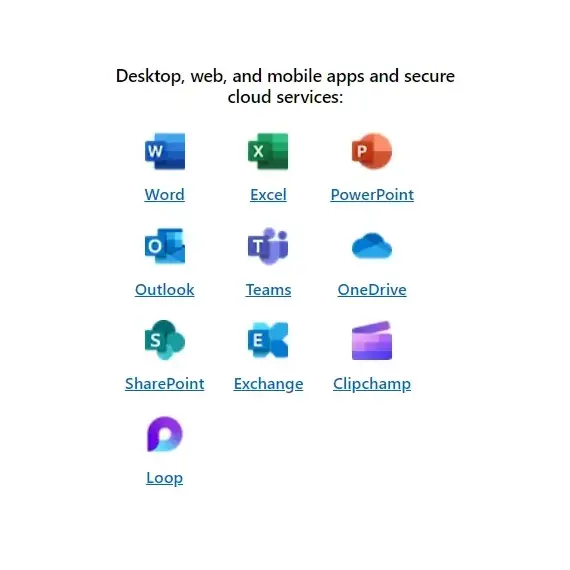 Microsoft 365 Business Standard (12 Months Subscription)