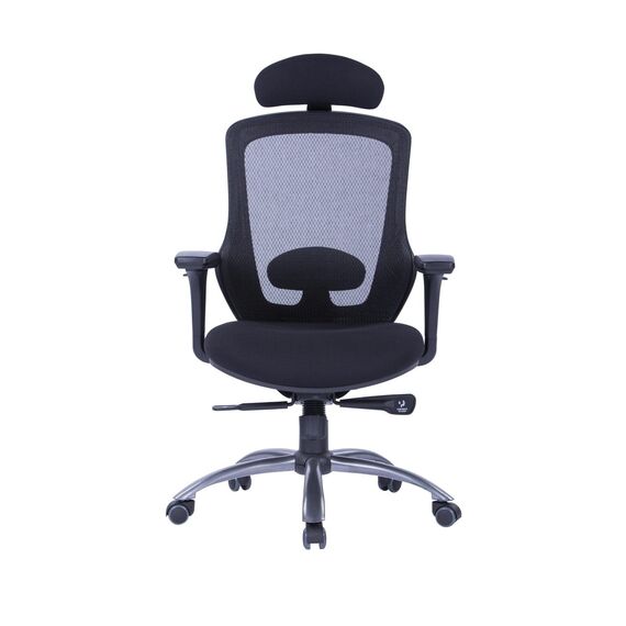 Office Chair W-169H Ergonomic Design (TLLL-C007)