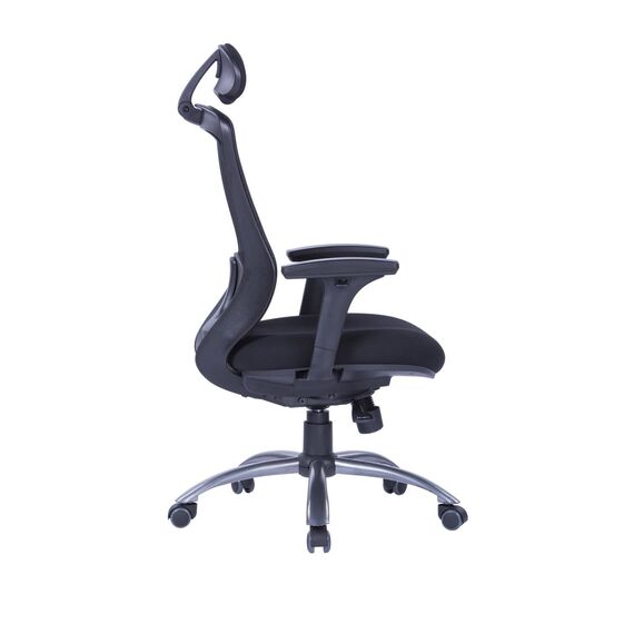 Office Chair W-169H Ergonomic Design (TLLL-C007)