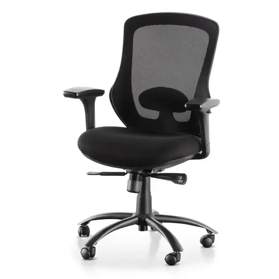 Office Chair W-169L Ergonomic Design (TLLL-C008)