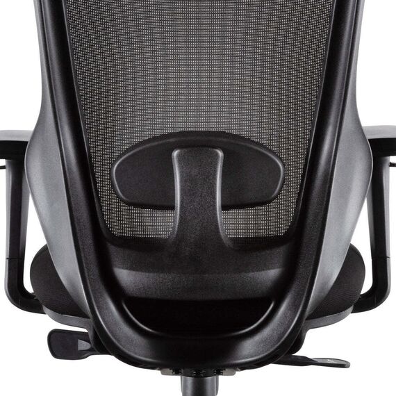 Office Chair W-169L Ergonomic Design (TLLL-C008)