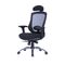 Office Chair W-169H Ergonomic Design (TLLL-C007)