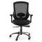 Office Chair W-169L Ergonomic Design (TLLL-C008)