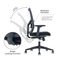 Office Chair M-16L Ergonomic Design (TLLL-C022)