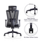 Office Chair U-033H Ergonomic Design (TLLL-C001)