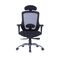 Office Chair W-169H Ergonomic Design (TLLL-C007)
