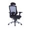 Office Chair W-169H Ergonomic Design (TLLL-C007)