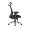 Office Chair W-169H Ergonomic Design (TLLL-C007)