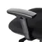Office Chair W-169L Ergonomic Design (TLLL-C008)