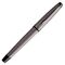 WATERMAN Expert Rollerball Pen Metallic Silver Ruthenium Trim