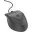 ​HP USB Fingerprint Mouse (4TS44AA)