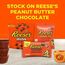 REESE'S PBC MINIATURES WRAPPED 24X340G, 2 image